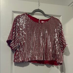 Sequin Striped Crop Top